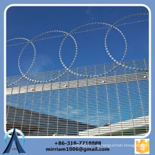 Beste Qualität Mesh 76.2mm * 12.7mm hot dip galvanisierten hohen Sicherheit 358 Zaun, 358 hohen Sicherheitszaun, Gefängnis 358 Zaun